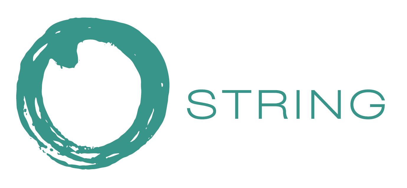 STRING Logo png